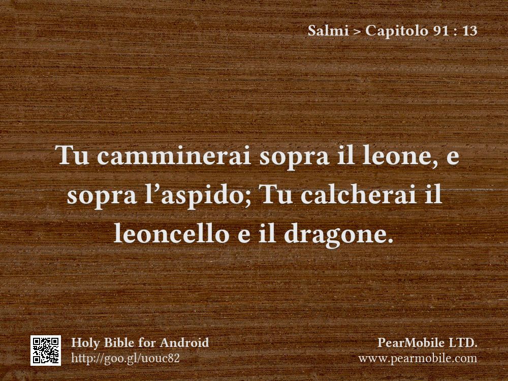 Salmi, Capitolo 91:13